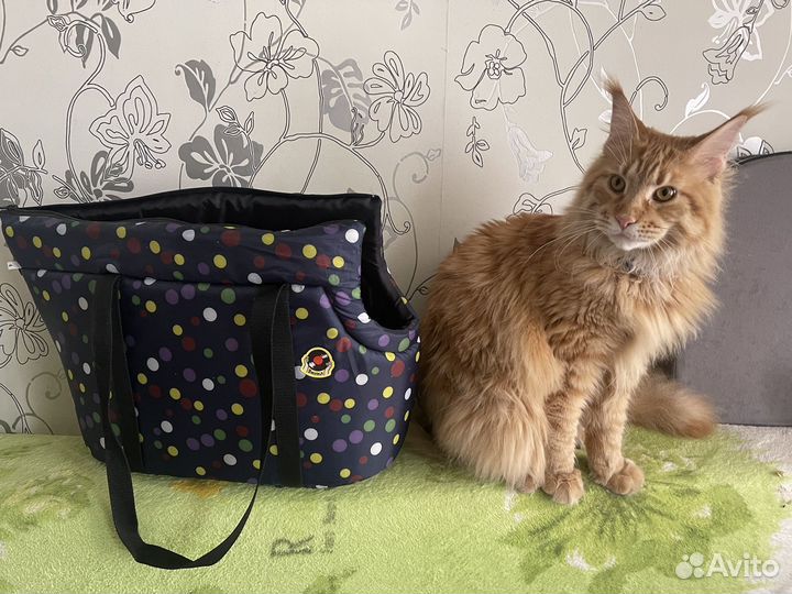 Переноска-сумка для кошек и небольших собак