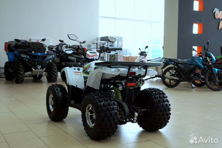 Avantis Hunter 8 New Premium