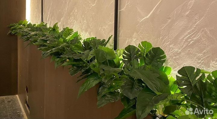 Растения и Цветы Фитомодули и Композиции