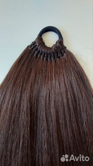 Афрохвост новый