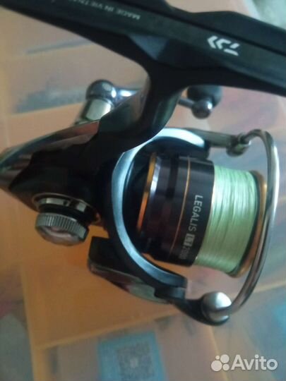 Daiwa 20 legalis lt 2000