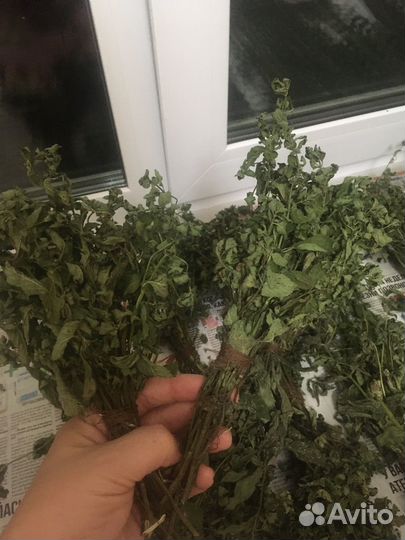 Дущица и Мята