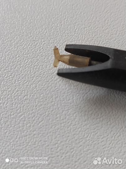 Звукосниматель