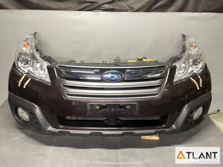 Nose cut subaru outback