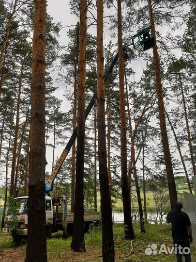 Услуги манипулятора Сысерть