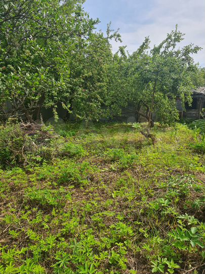 Участок 5,5 сот. (СНТ, ДНП)