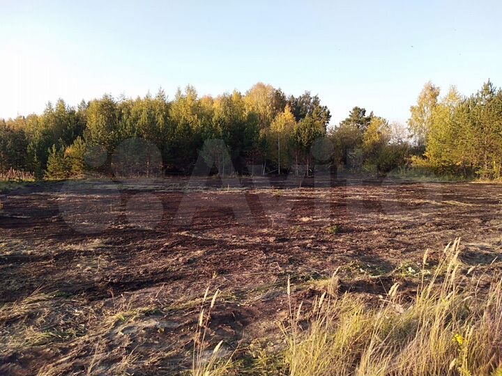 Участок 15,4 сот. (ИЖС)