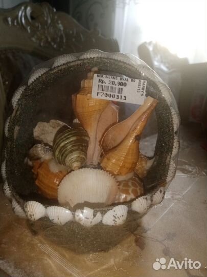 Ракушка, Таиланд