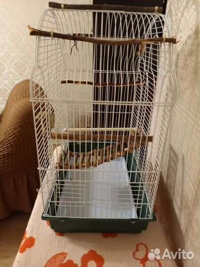 Клетка для волнистого попугая