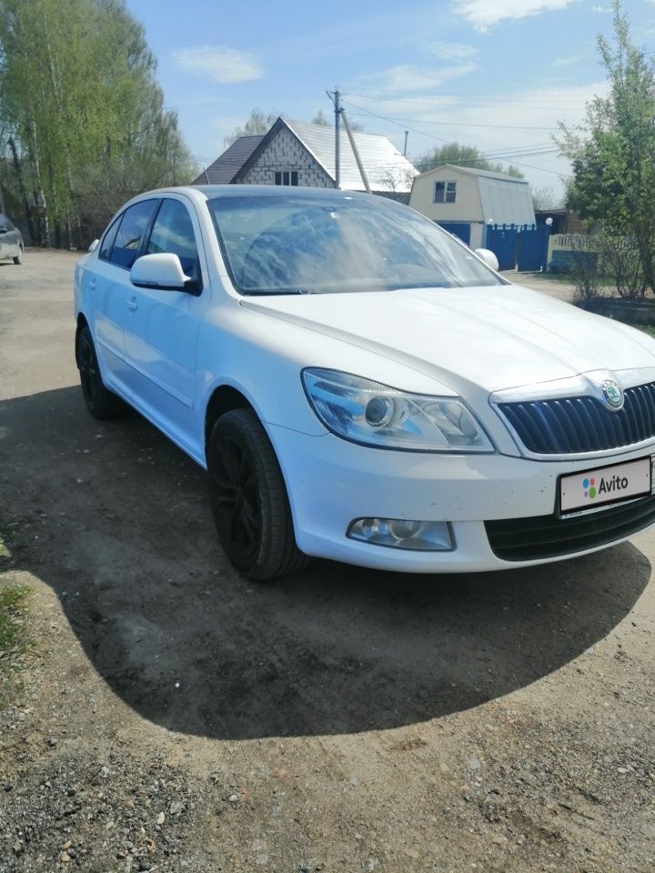 Skoda Octavia: фото владельца