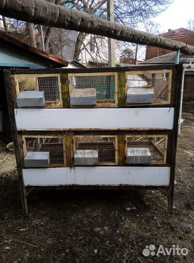 Клетка для кроликов