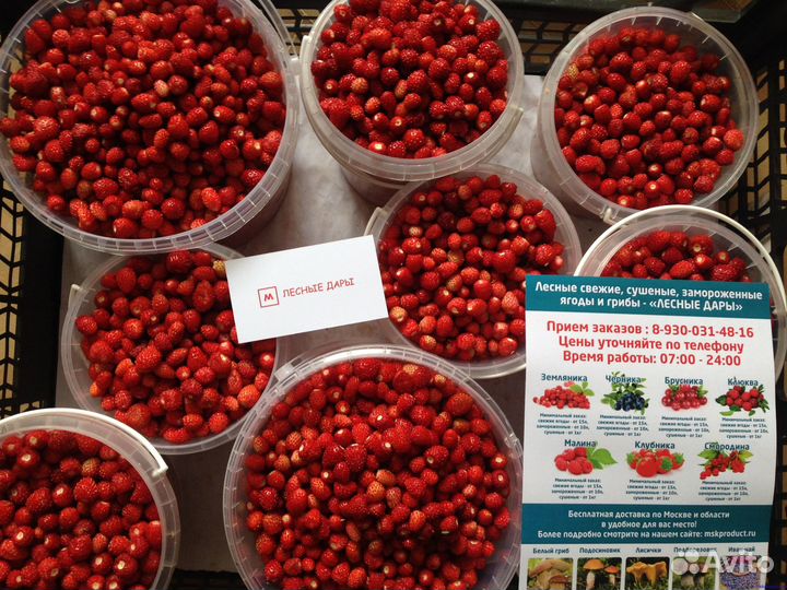 Свежая лесная земляника