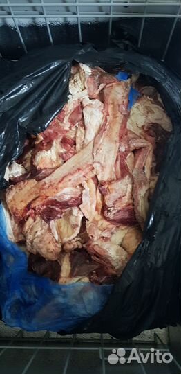 Корм для собак, обрезь свиная и говяжья