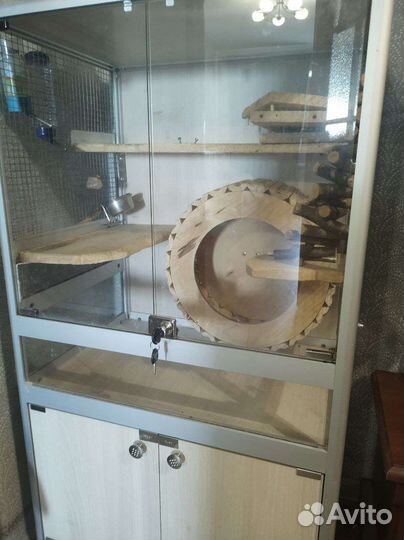 Витрина для шиншилл/дегу