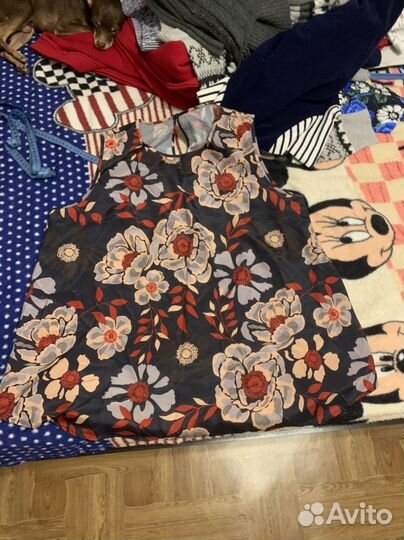 Женская одежда