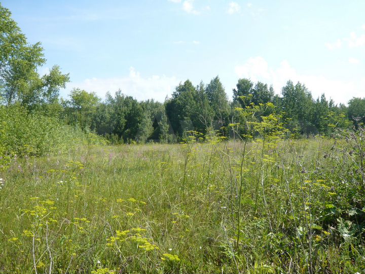 Участок 14 га (ИЖС)