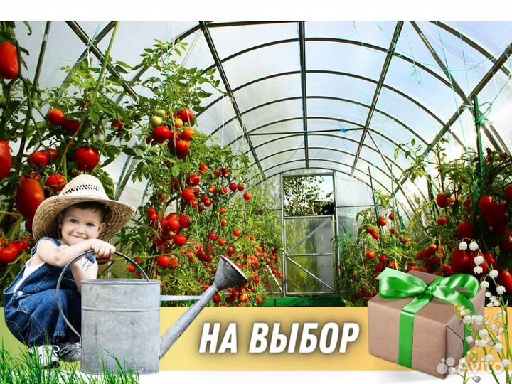 Теплицы из поликарбоната