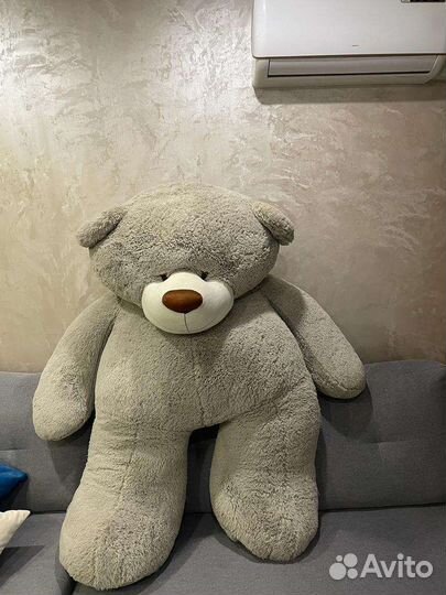 Плюшевый медведь
