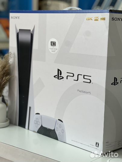 Sony Playstation 5 (2023)