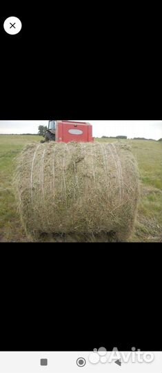 Сено в рулонах