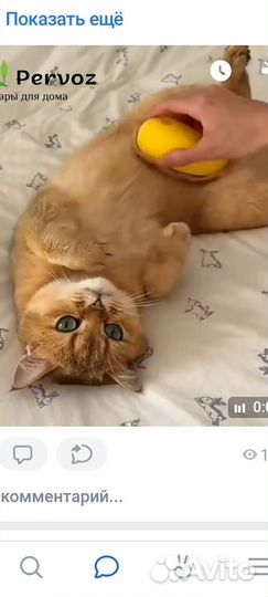 Паровая щетка для животных