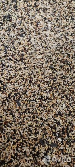 Корм для птиц, попугаев итд