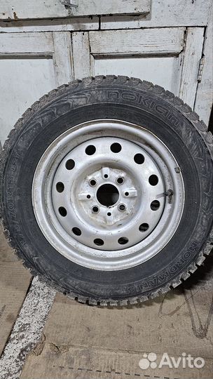 Nordman 5 175/70 R13