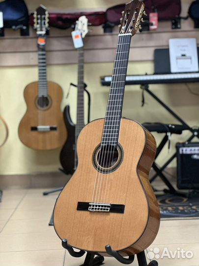 Гитара классическая массив кедра