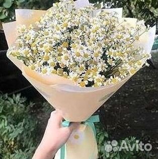 Букеты. Доставка ромашек