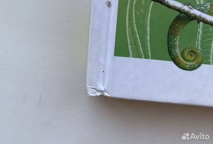 Энциклопедия «Животных»