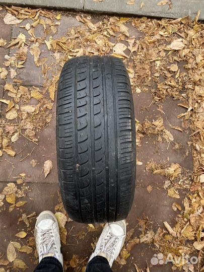 Pirelli P Zero Direzionale 195/55 R15