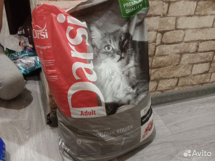 Корм для собак