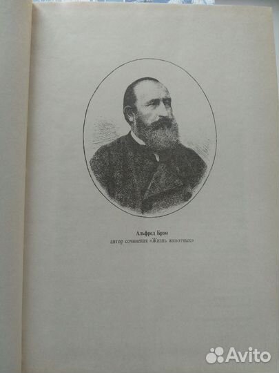 Жизнь животных, в 3 томах (А.Э.Брэм)