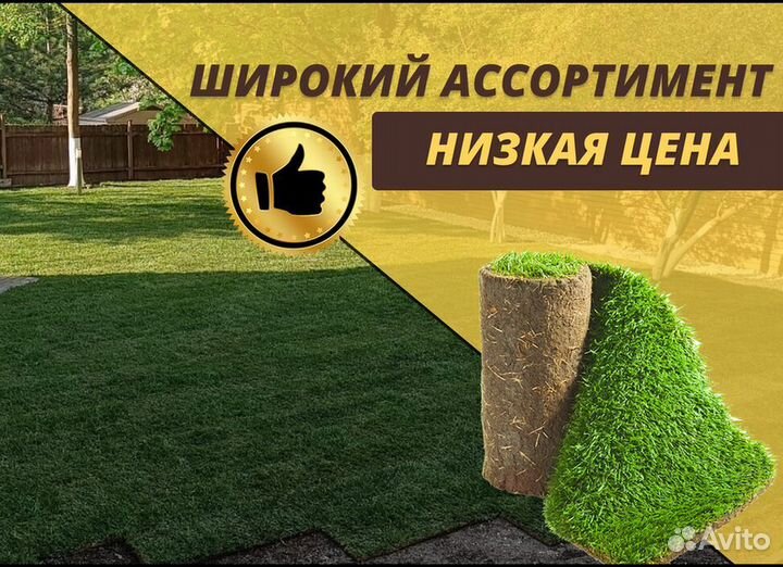 Рулонный газон с укладкой Элитный