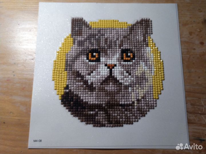 Картинки котиков разных пород