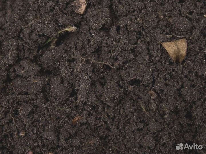 Щебень известняковый вывоз грунта