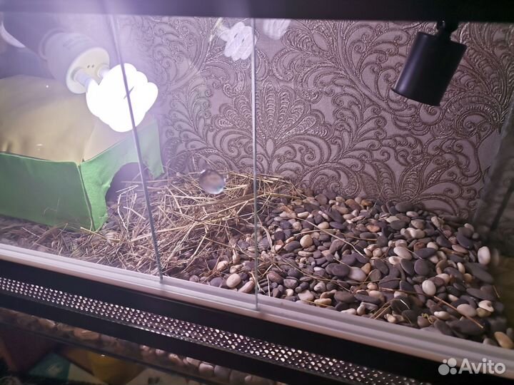 Террариум для сухопутной черепахи 60*30*30