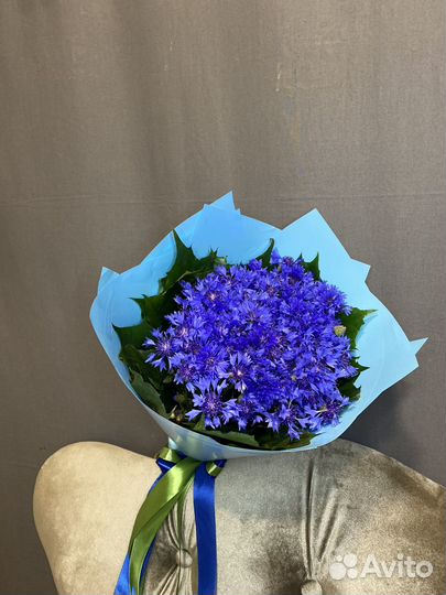 Васильки букет