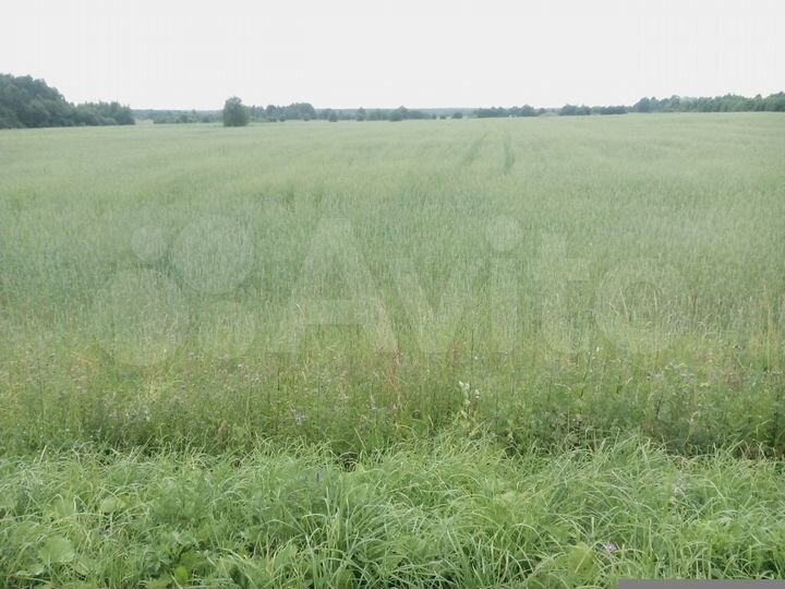 Участок 8,75 га (СНТ, ДНП)