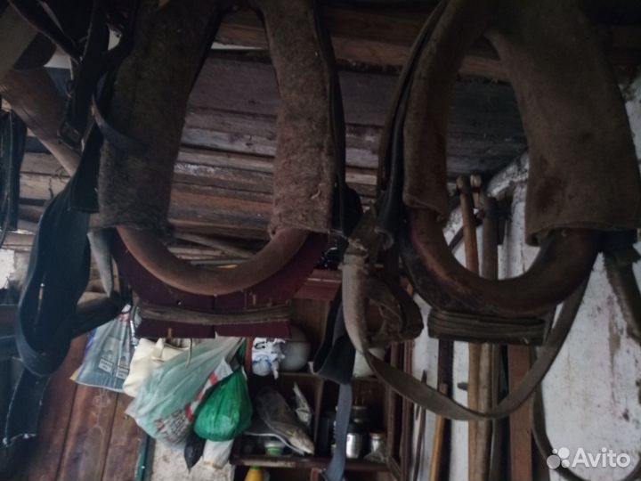 Конная амуниция