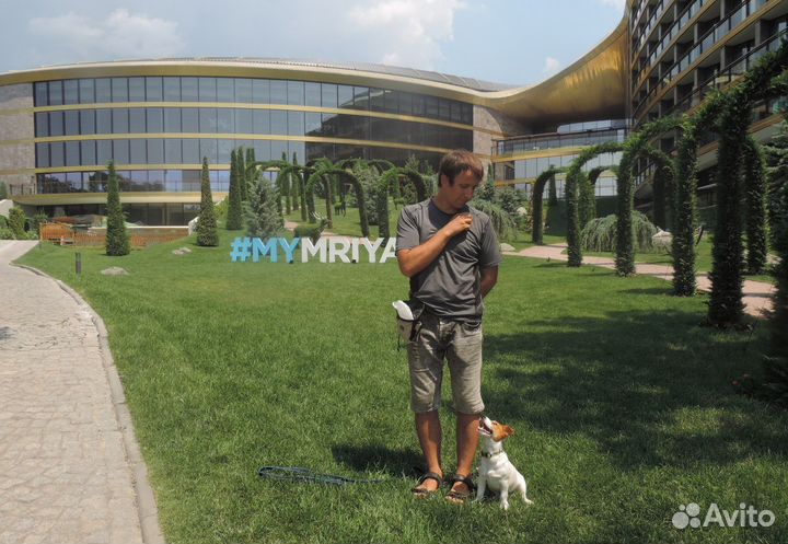 Дрессировка собак в Ялте