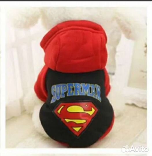 Одежда для мелких собак и кошек