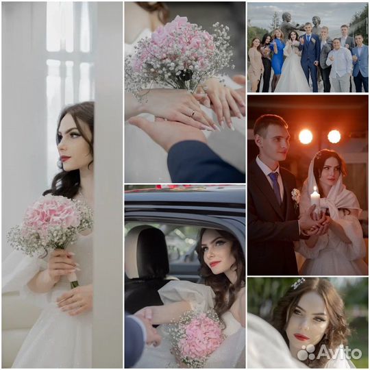 Фотограф / Видеограф