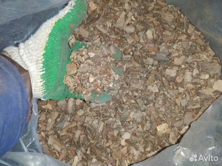 Кора сосны (мульча) и мох сфагнум для орхидей