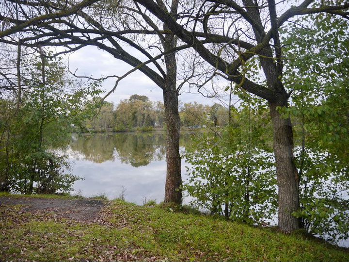 Дом 240 м² на участке 8,7 сот.