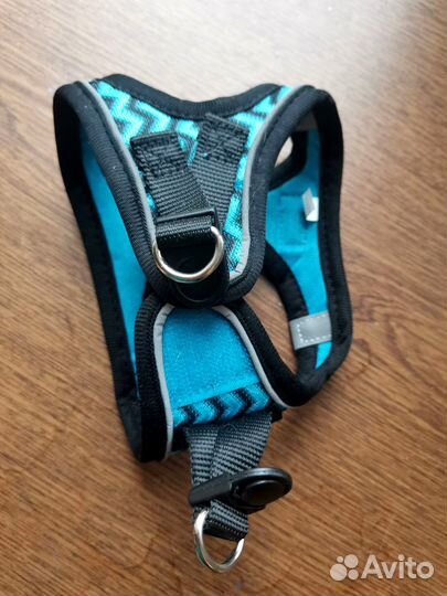 Surepete шлейка для кошек с поводком