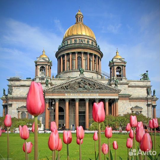 Санкт-Петербург из Омска