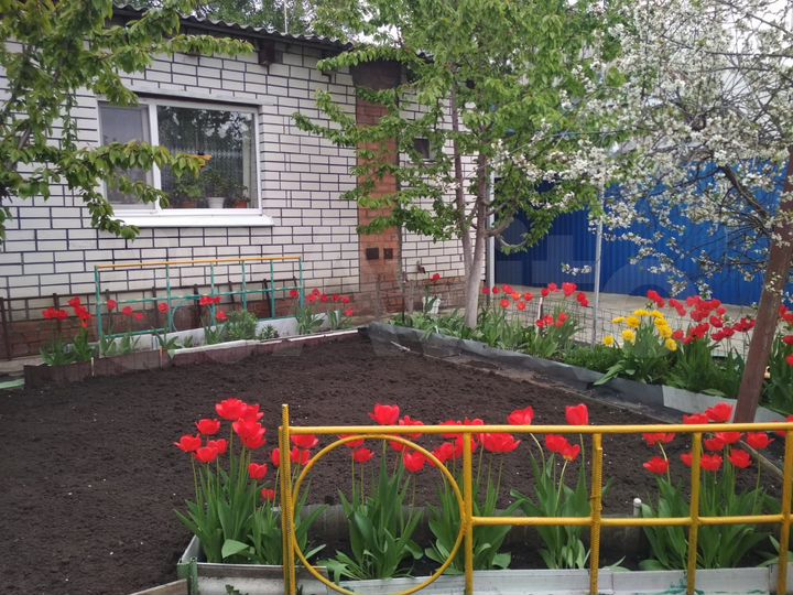 Дом 60 м² на участке 3 сот.