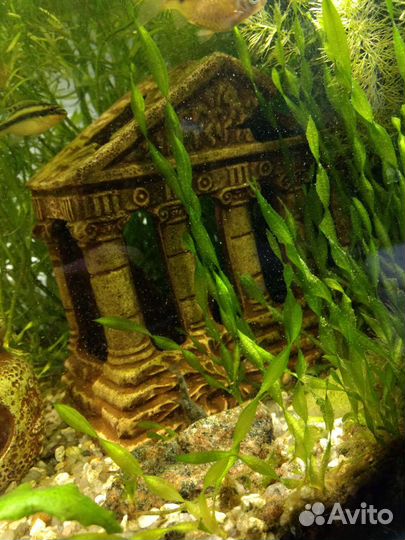 Украшение для аквариума