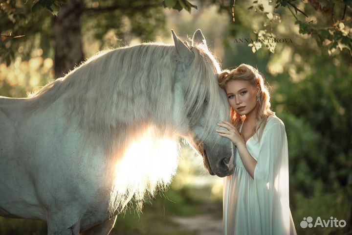 Аренда лошади на фотосессии